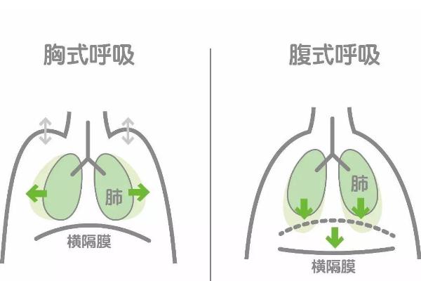 练习狗喘气的方法，吸气要注意自己的腹部的变化情况