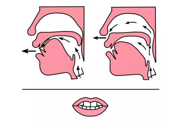 普通话怎么发出r音，要上举舌头并抬升软腭、发声时让气流通过间隙