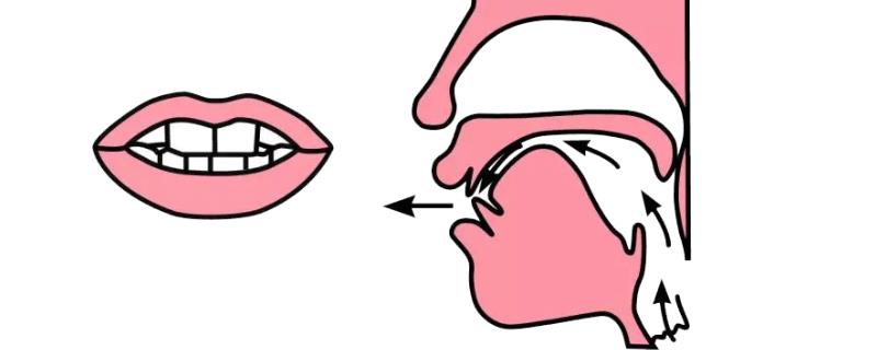 普通话in的发音方法，发音时用舌尖抵住下齿背