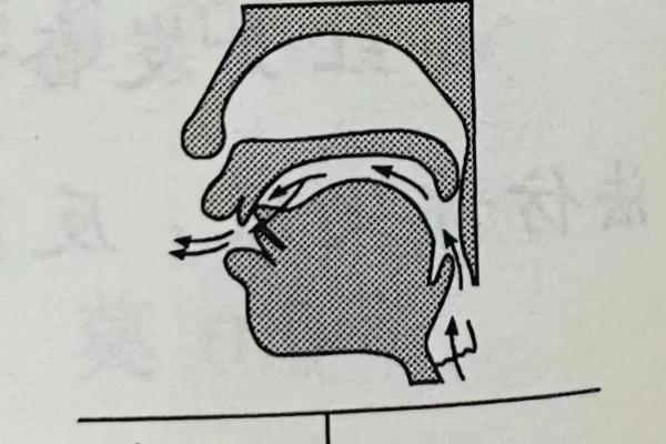 普通话in的发音方法，发音时用舌尖抵住下齿背