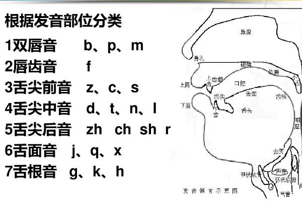 普通话三声的发音方法，声音表现在低音段1-2度