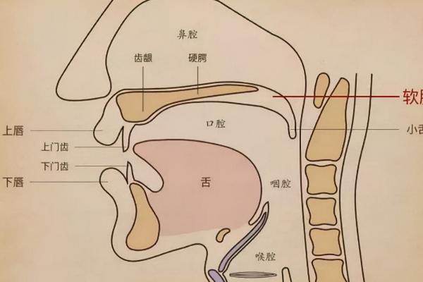 怎样的声音有力量感，首先要提高说话音量