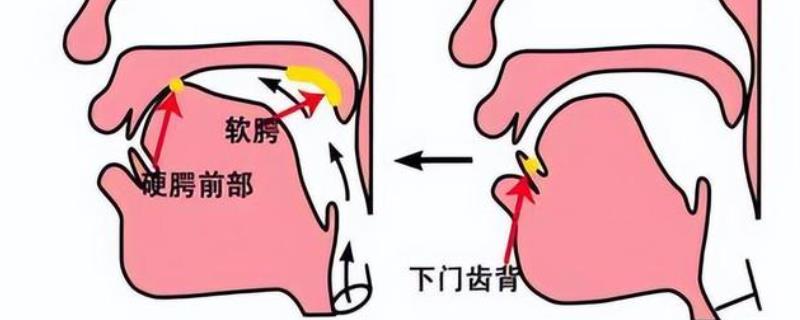 软腭挺起保持方法，可以利用舌头来进行感受