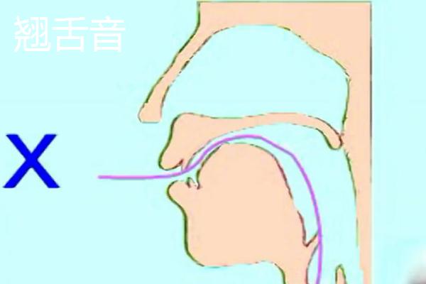 平舌音和翘舌音如何区分，发声的方式不同