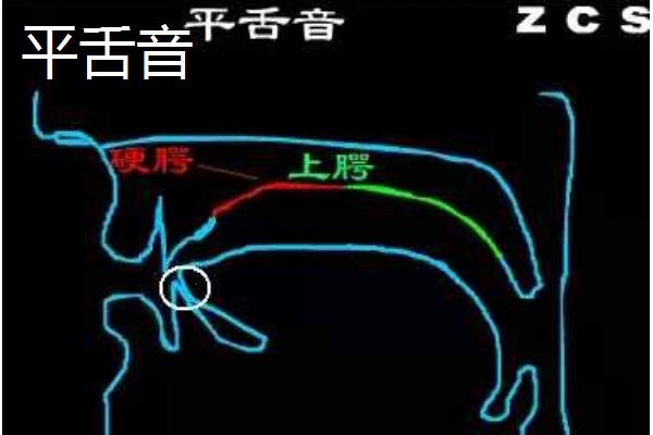 平舌音和翘舌音如何区分，发声的方式不同