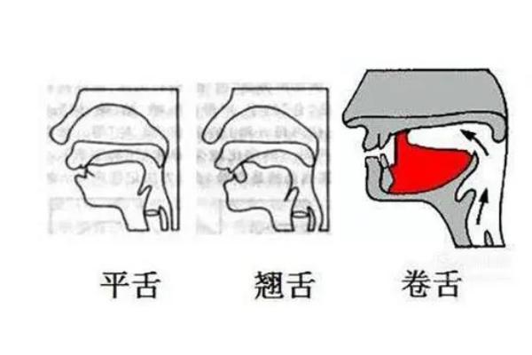 平舌音和翘舌音如何区分，发声的方式不同