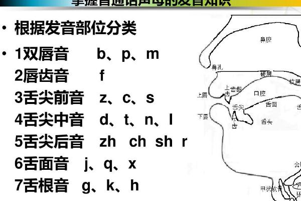 普通话正确发音的关键，首先要了解词语的正确声调