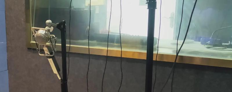 学播音之前要准备的东西，需要具有一定的潜力才行