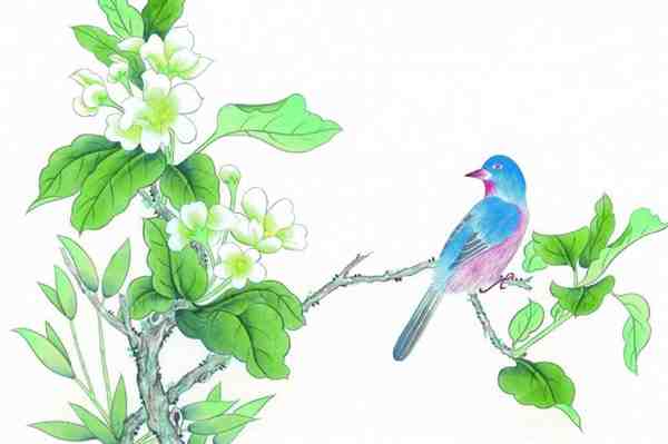 一组工笔花鸟画欣赏 梅花、竹林、松树工笔画图片分享