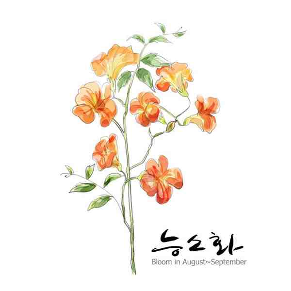 花草素描图片