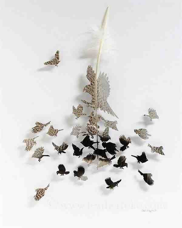 生动而有趣的羽毛创意手绘图片