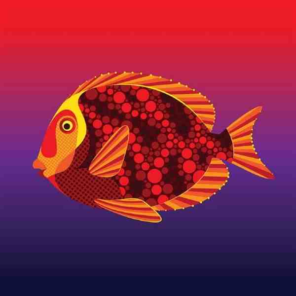 手绘漂亮的彩色热带观赏鱼图片