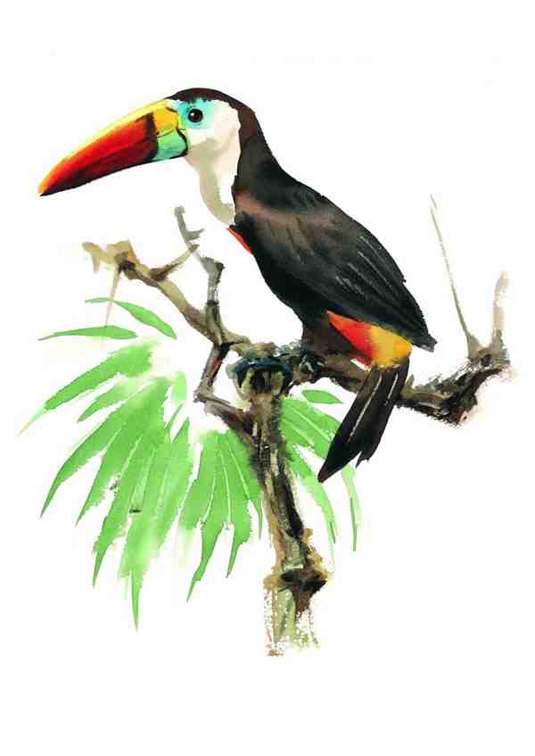 树枝上五彩斑斓的小鸟彩绘创意图片