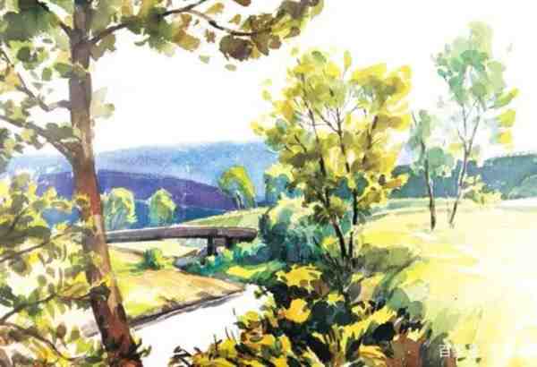 树的水彩画法和步骤教程