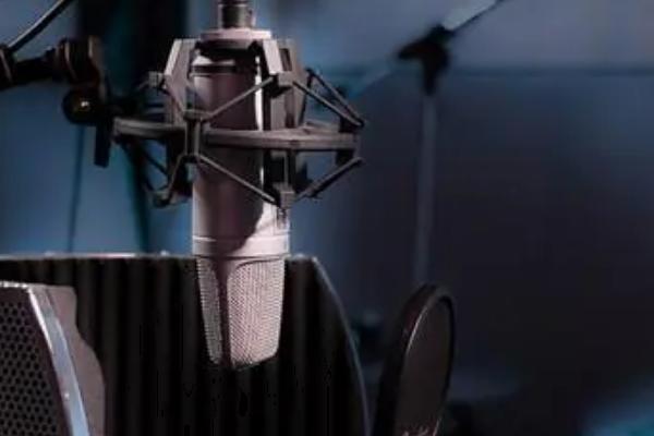 声音有哪四种类型，分为少女音、御姐音、奶狗受音、霸气攻音