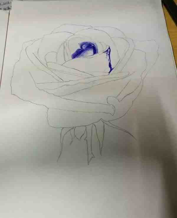 玫瑰圆珠笔画入门教程图解