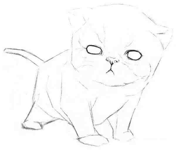 如何快速学会猫咪素描画画
