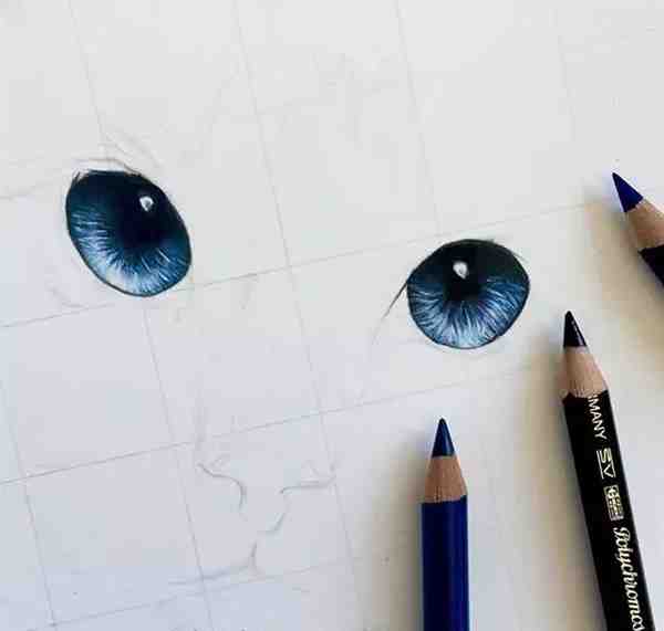 小白零基础彩铅绘画教程 猫咪彩绘