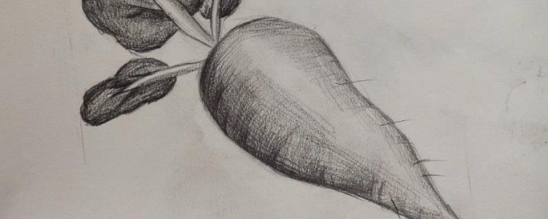 快速学好素描的方法，可以从排线、打形上手