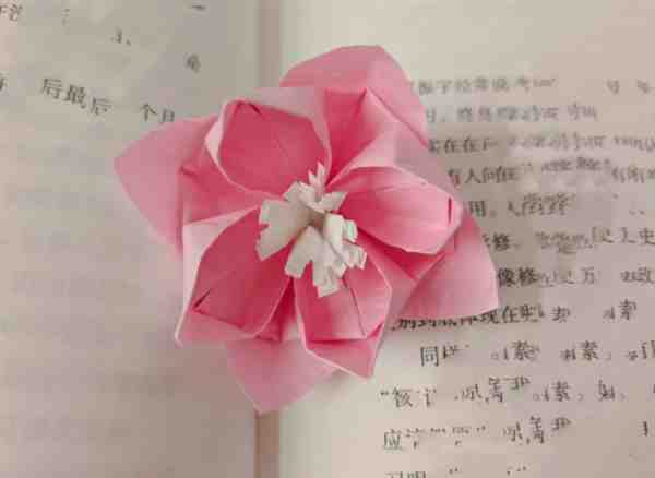 折纸海棠花详细步骤图解