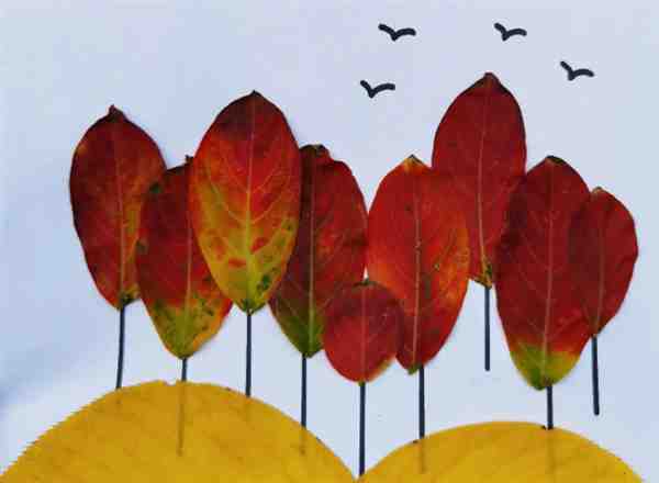 小学一年级手工树叶画怎么做简单易学