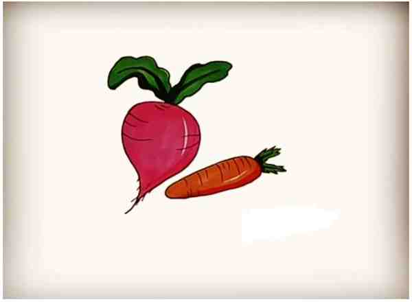 胡萝卜简单画 一步一步画萝卜教程方法