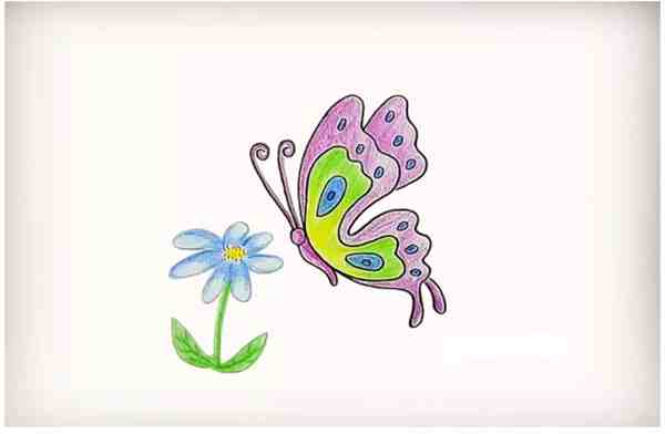 幼儿美术:简单画蝴蝶的方法教程