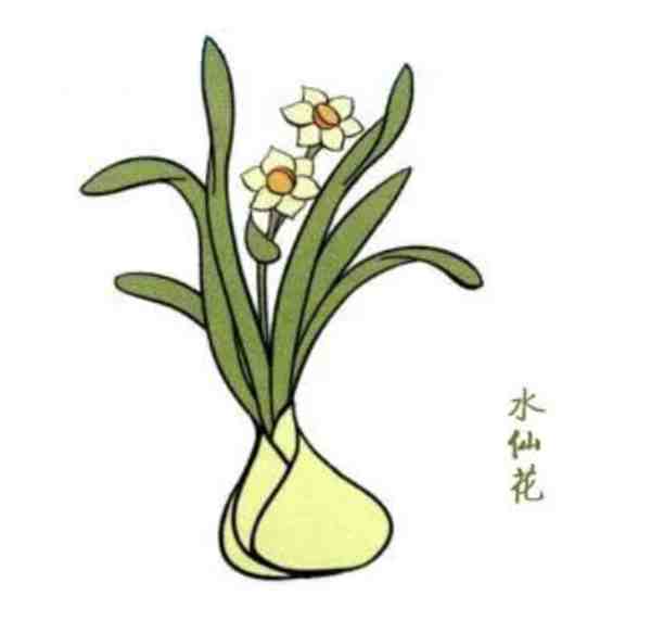 花怎么画好看又简单 一步一步教我画花朵教程