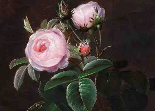 油画玫瑰花作品欣赏：粉色的玫瑰