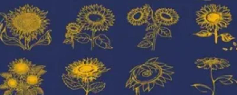 有哪些电脑绘画笔刷，掌握好绘图软件就是重中之重