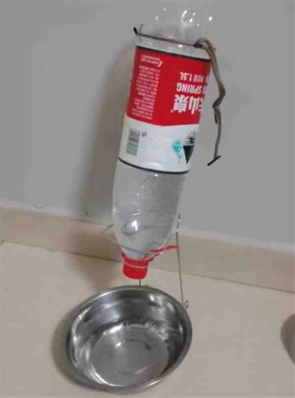 矿泉水瓶自制猫咪饮水机简单教程