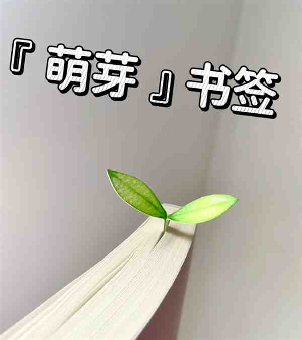 一二三年级手工书签做法教程(萌芽书签)