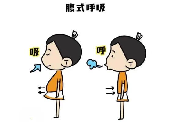 怎样采用腹式呼吸说话，呼吸的时候不要吸气太深