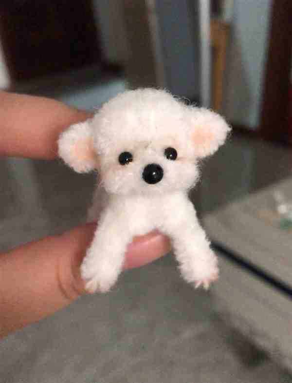 如何用扭扭棒编一只小狗(含教程图解)