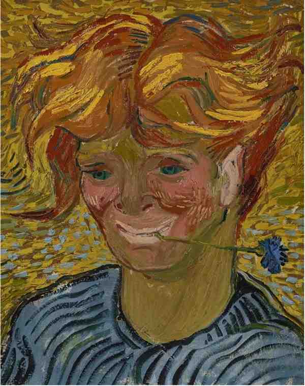 梵高最后一幅画是什么画 梵高的画到底好在哪里