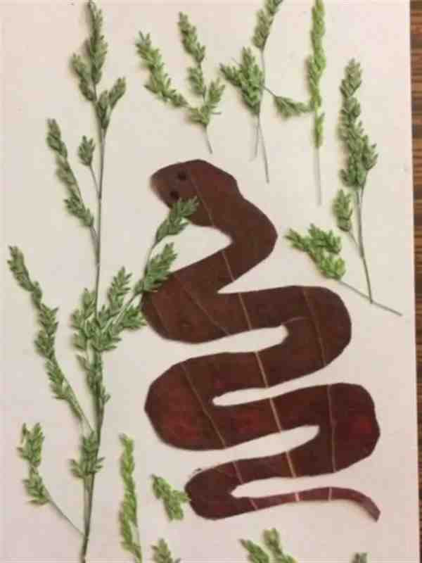 用树叶做的小蛇怎么做步骤图片分享