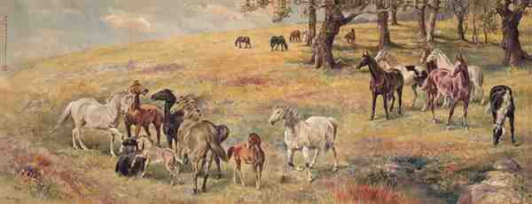 名画徐悲鸿的群马图片欣赏 徐悲鸿画马有什么特点