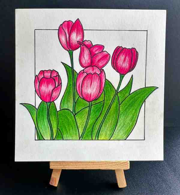 8一11岁简单画花朵涂色彩铅画教程(郁金香)