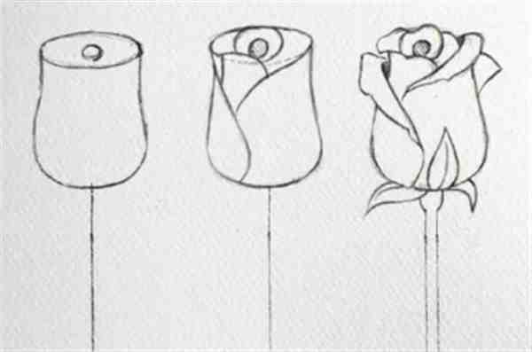 画花的教学简单图片大全大图