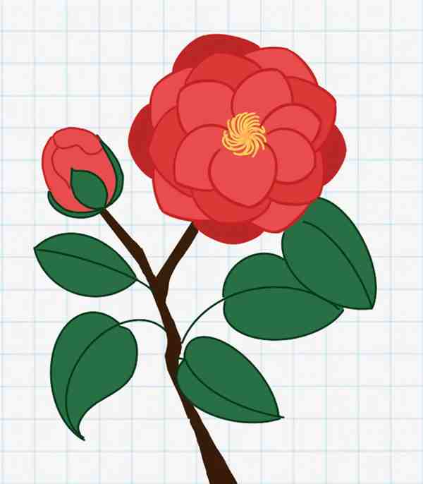 一步一步教我画山茶花教程简单