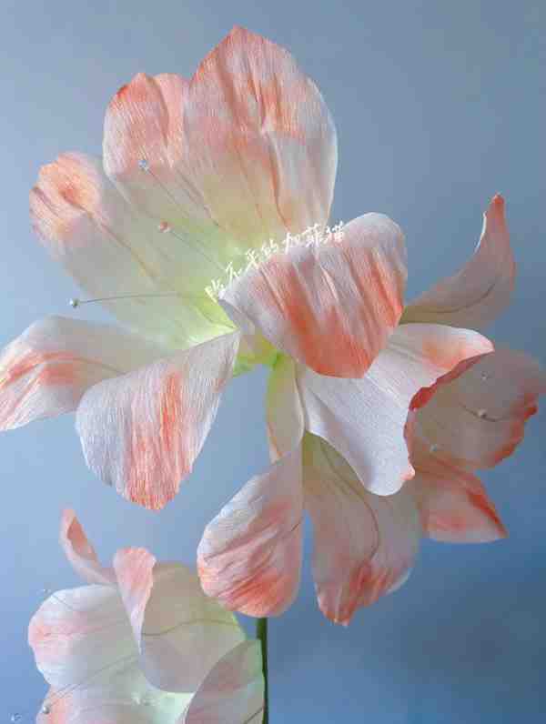 君子兰怎么折纸教程 手工君子兰制作方法简单