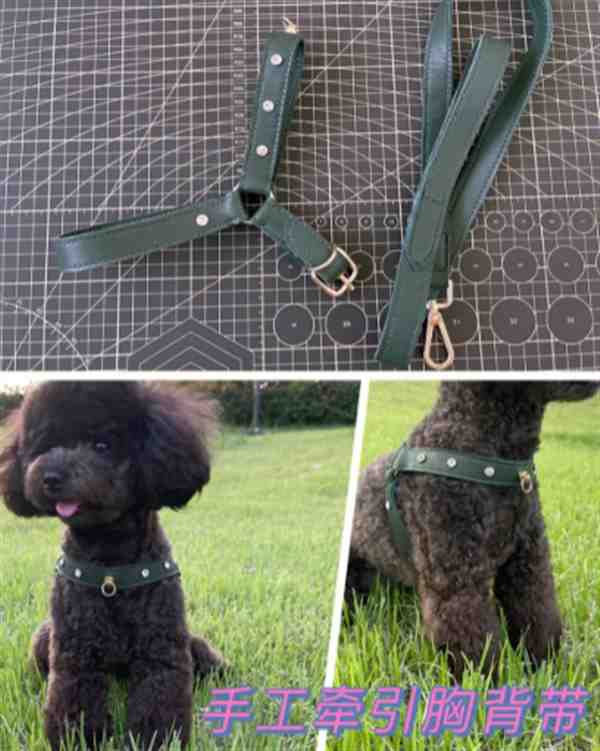 废物利用自制狗胸背带 自制狗胸背带图片大全