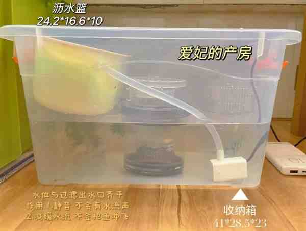 自制漂亮上滤盒图片大全精选欣赏