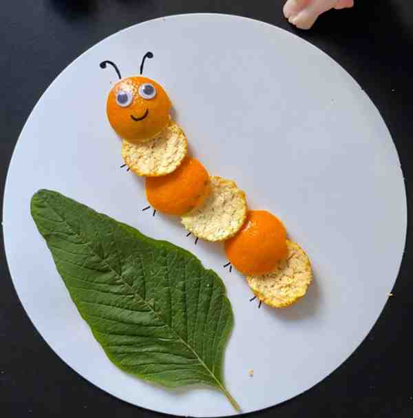 惊蛰手工制作毛毛虫的教案(含图解方法)