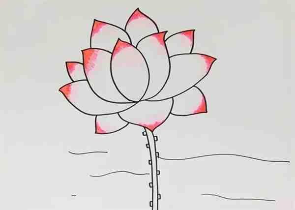 精选荷花怎么画漂亮又简单可爱图片