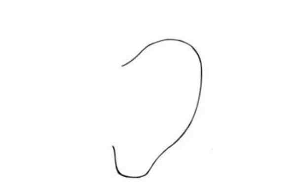 一步一步教你画耳朵简单画法教程图片