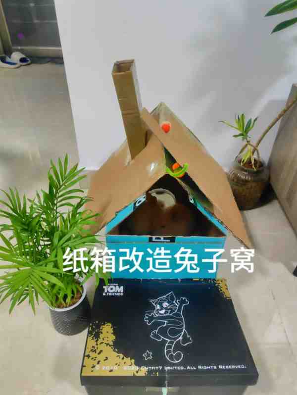 趣味手工:用纸箱子做兔子的窝教程简单