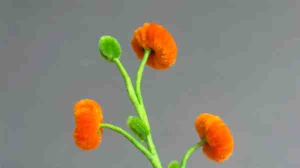 趣味diy:扭扭棒手工大全简单又漂亮新年