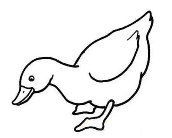 一笔画成一只小鸭子怎么画图片欣赏