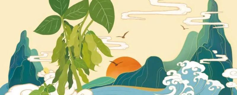 插画设计是不是颜色越多越好看，色相配合不宜超过3种